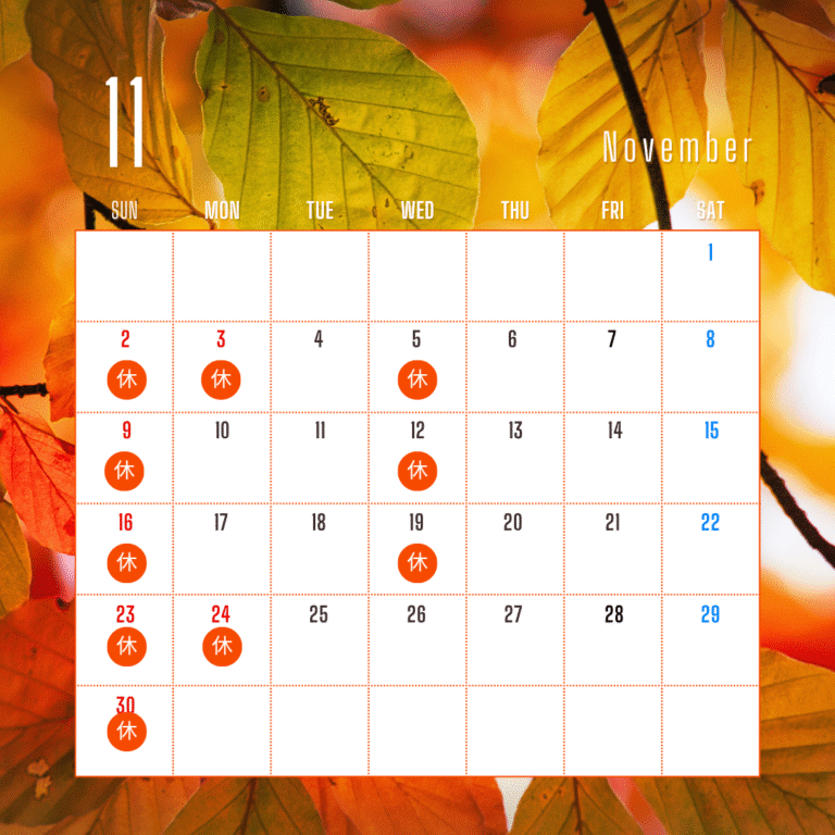 2025年11月診療日